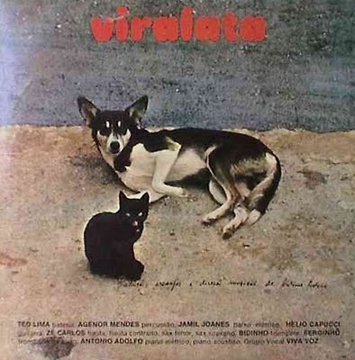 1928506-antonio-adolfo-viralata.jpg