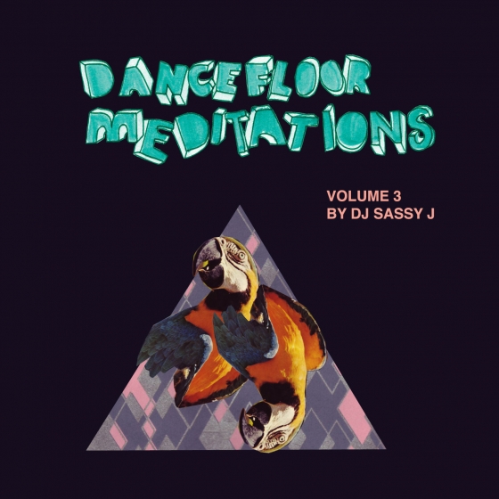 http://sassyj.net/media/blog/DancefloorMeditationsVol3.jpg