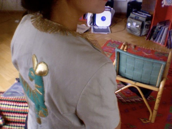 FantasticAnimalVest.jpg